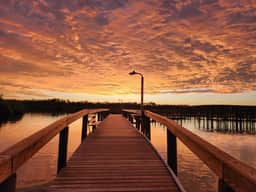 Views Galore! Watch Manatees from Yard, Waterfront
